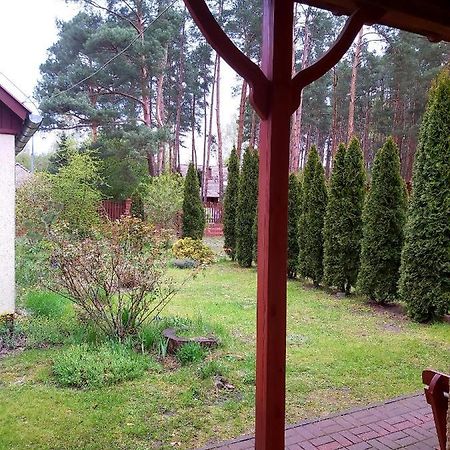 Drzewosfera Appartement Wilcze  Buitenkant foto