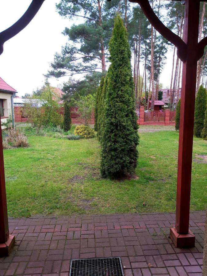Drzewosfera Appartement Wilcze  Buitenkant foto